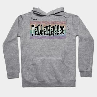 LGBTQ PRIDE EQUAL USA TALLAHASSEE Hoodie